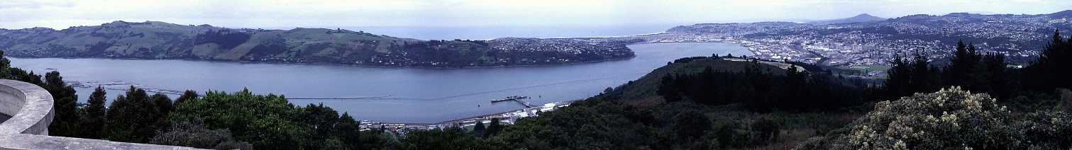 Panoramic View of Dunedin