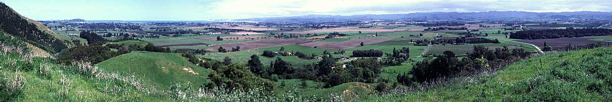 Panoramic View from Grays Hill Lookout