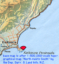 index map of Kaikoura