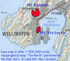 index map of Wellington